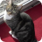 Danville-Callie-gray-tabby