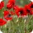 giftsbygenius-memorial-day-2014-wallpaper-1024x768
