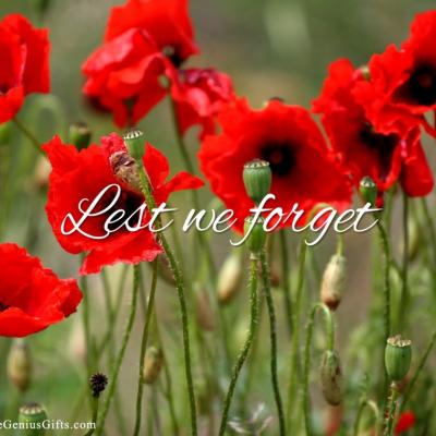 giftsbygenius-memorial-day-2014-wallpaper-1024x768