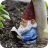 gnome1