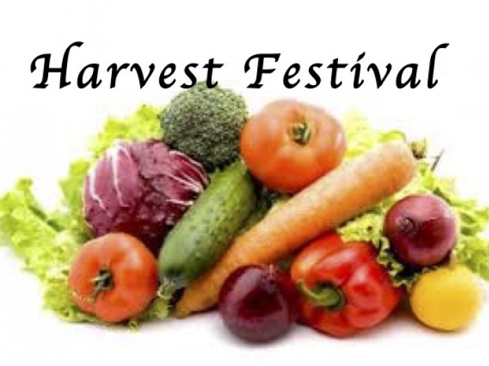 Village Arena Harvest Collection For Food Bank