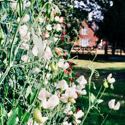 July musings2