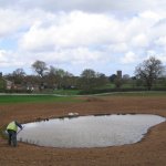 Newt ponds