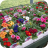 PlantSalePlants2018