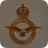 RAF 100 Celebration